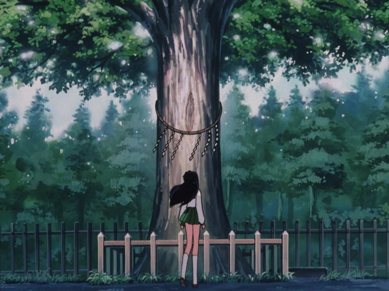 Inuyasha Episode 48: Return to the Place Where We First Met