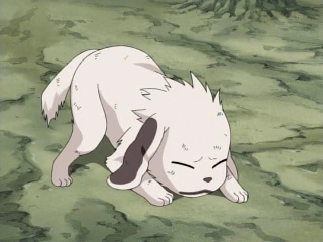 Naruto Episode 120: Roar and Howl! The Ultimate Tag Team